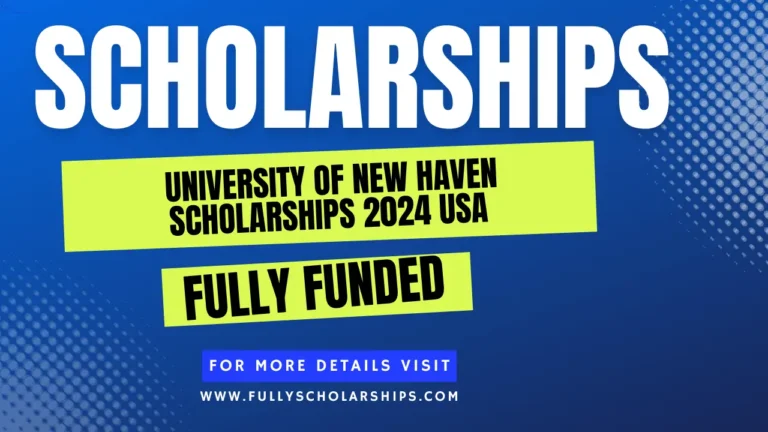 details about University of New Haven Scholarships 2024 USA